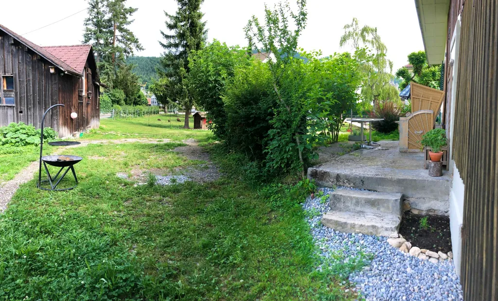 Camp SOAY