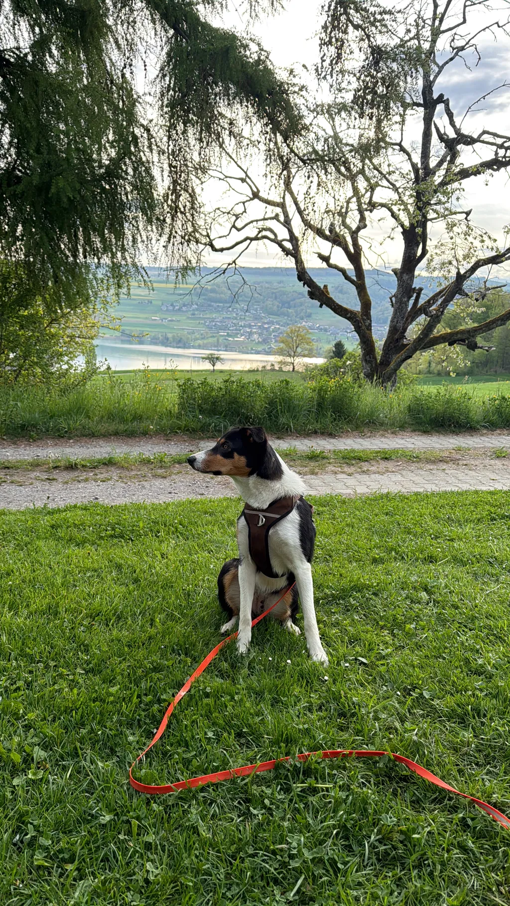 Bild von Angela für den Spot 128