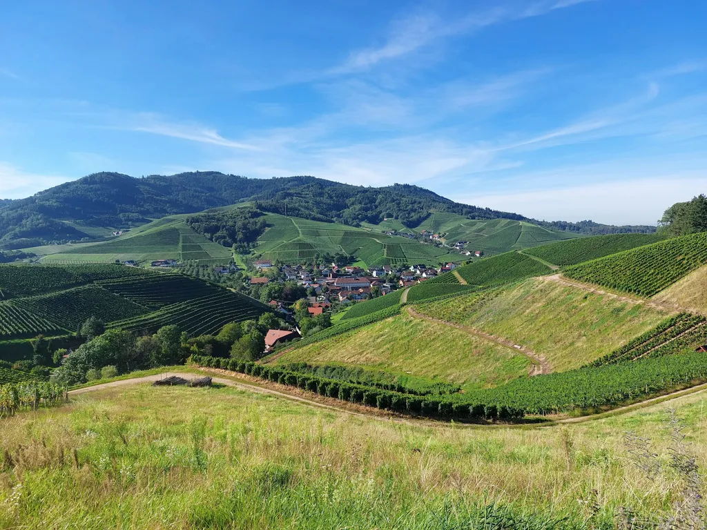 Stellplatz am Winzerhof