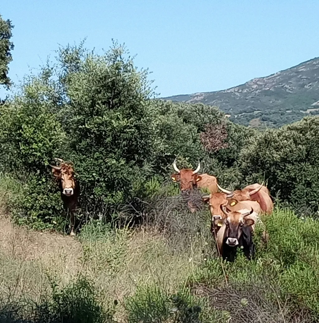 Sardegna che bella