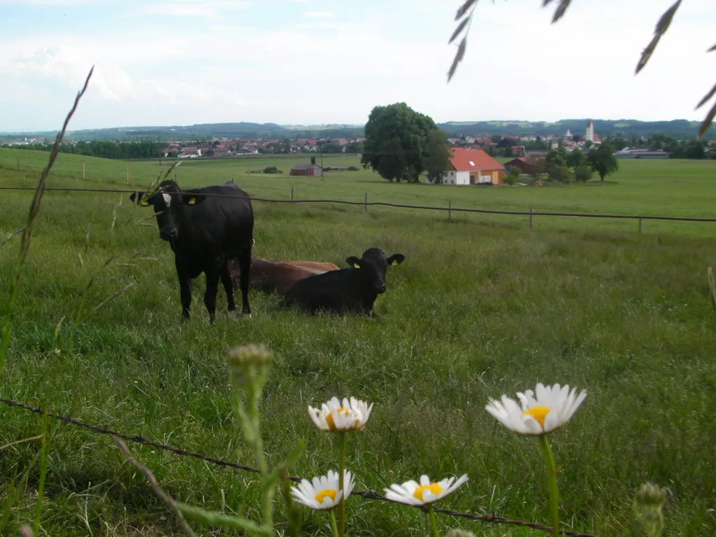 Gartenfreude beim Bergbauer