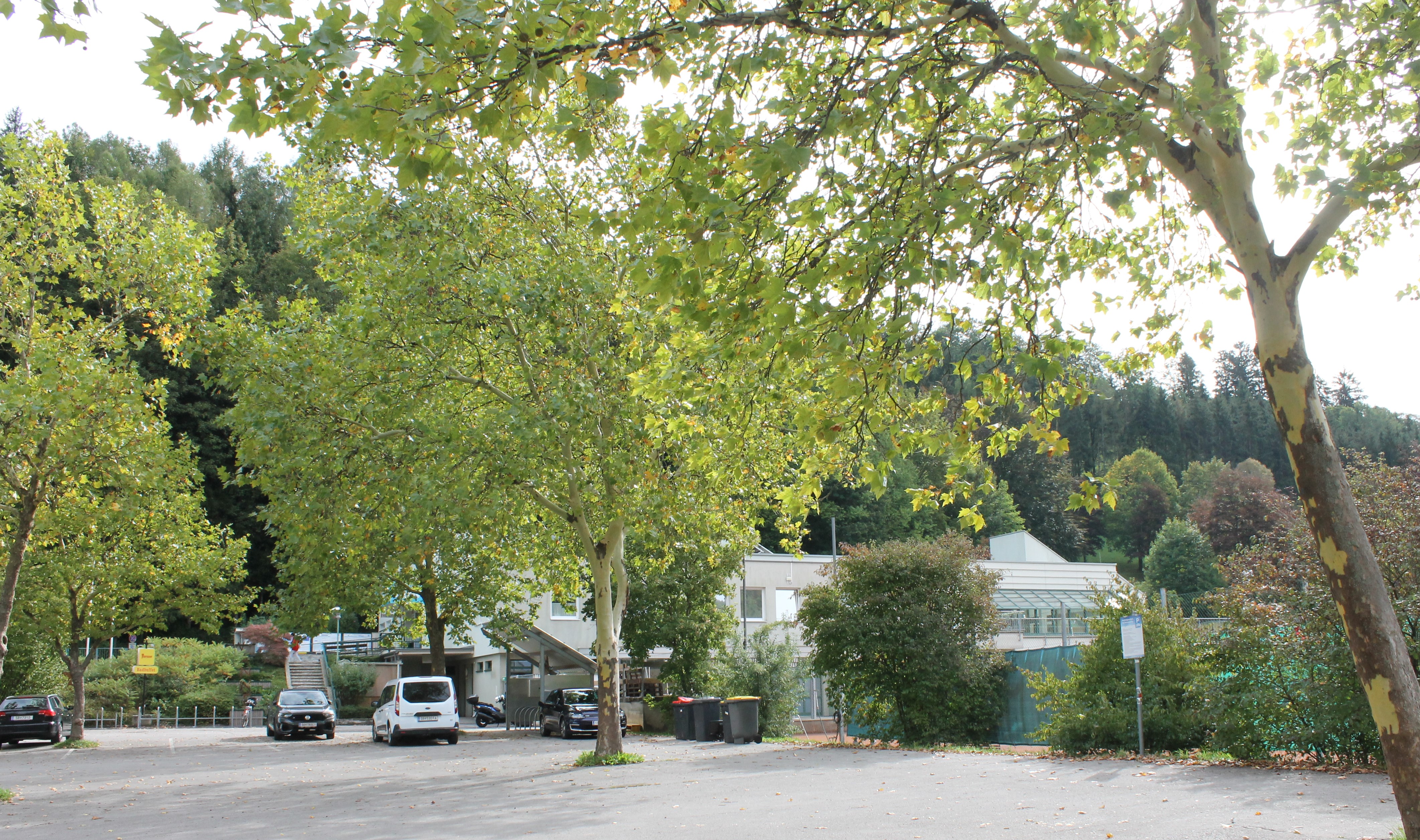 f1t2mfir2oro8yrvwvzf8okf