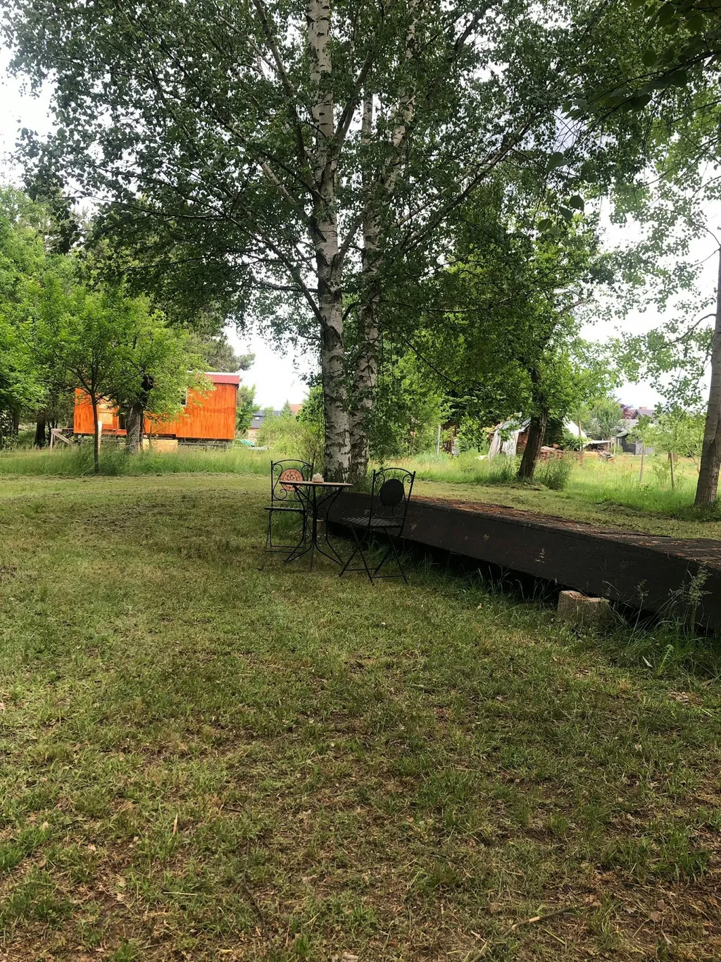 Campen unter Bäumen