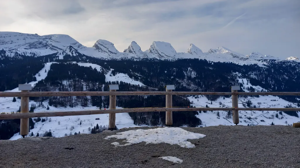 Haldenhof Schwizer Camp