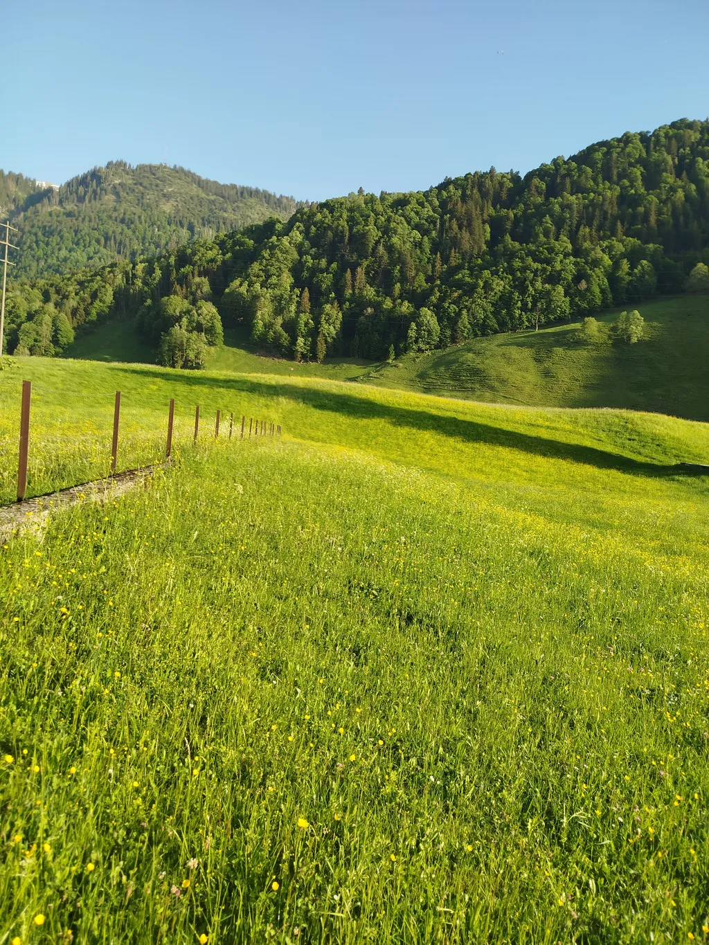 Ruhiger Platz in der Natur