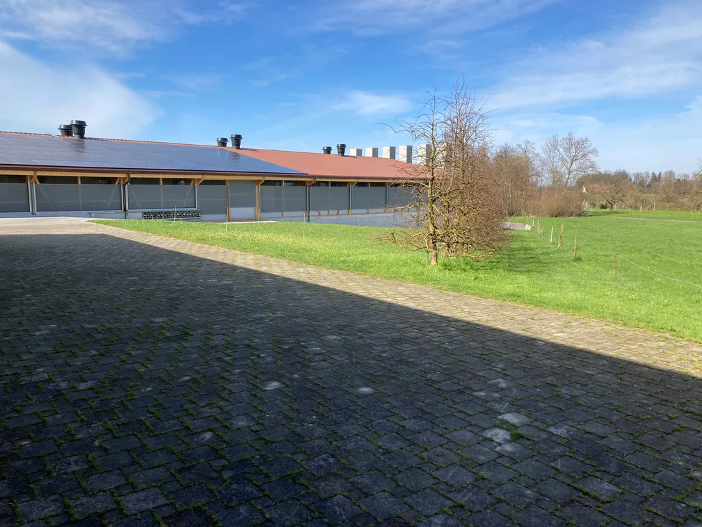 Freie Sicht auf Apfel- und Kirschbaumplantage