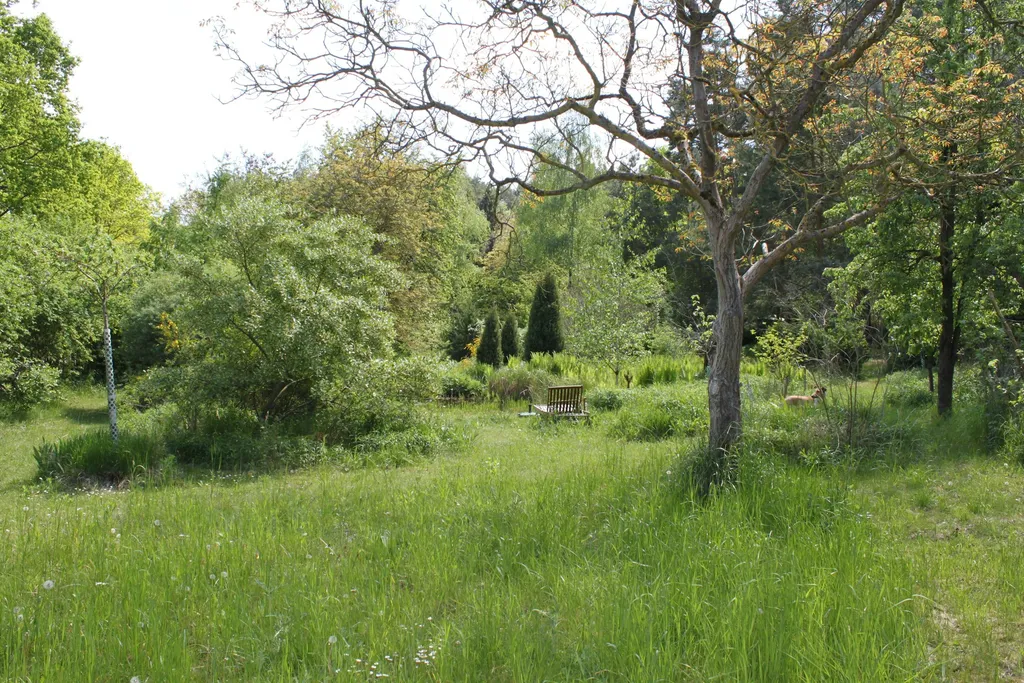 Landschaftsgarten auf Insel Töplitz