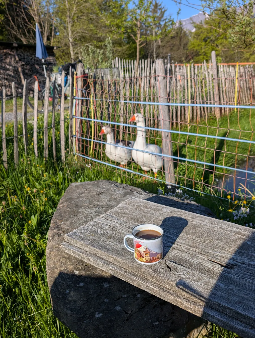 Bild von Iris für den Spot 648