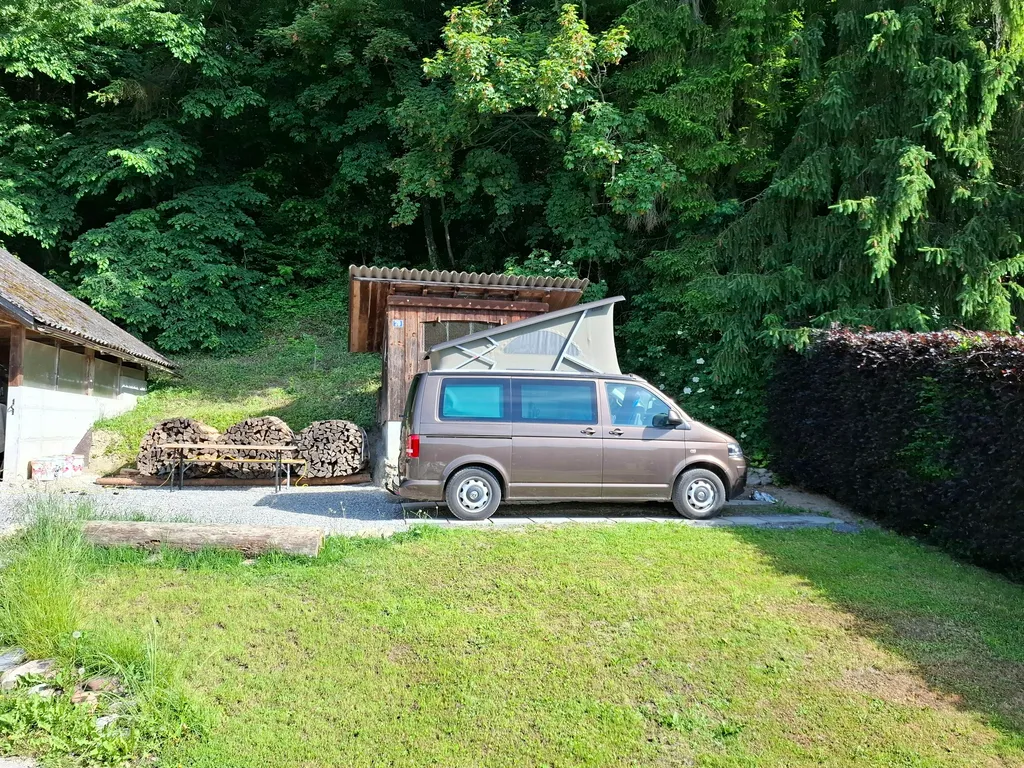 Campen im Tannenmoos