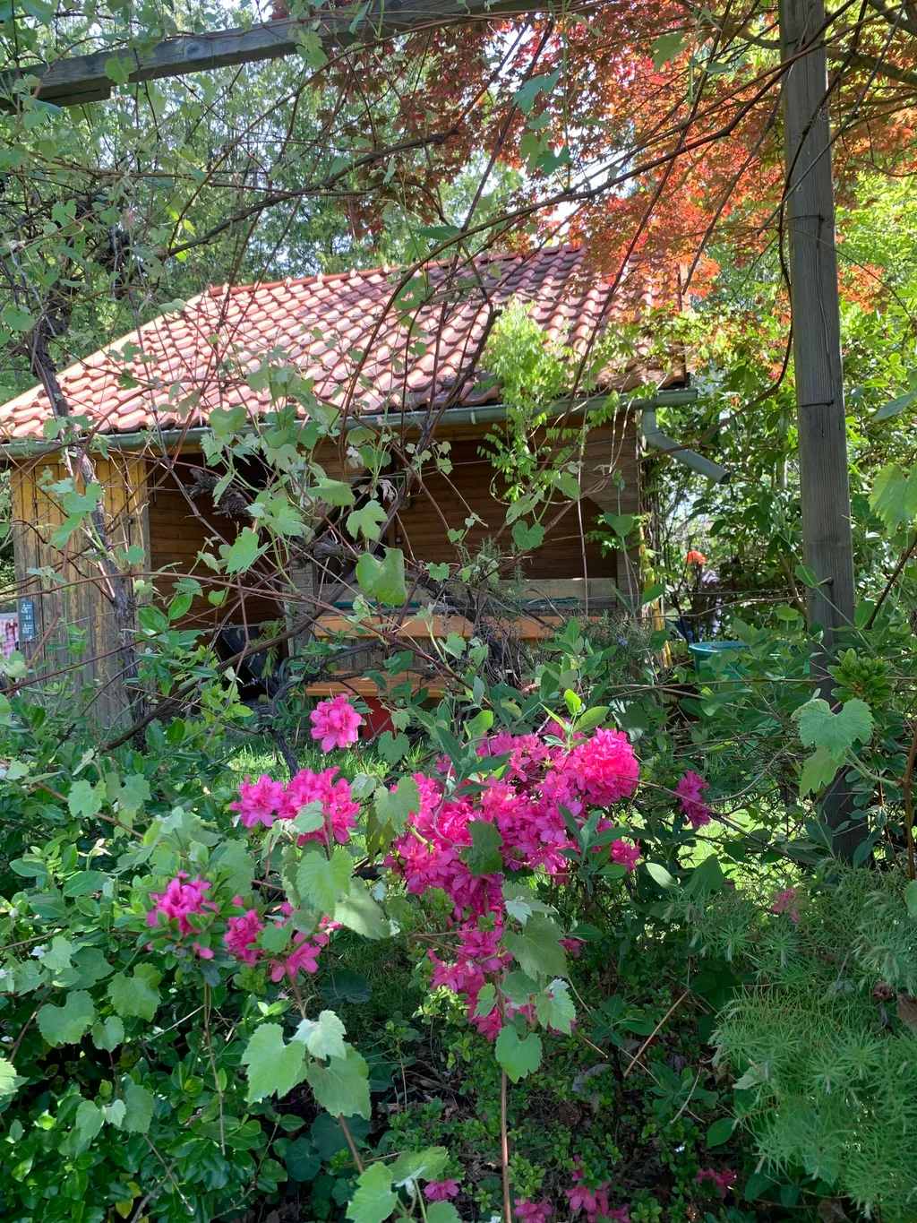 Du kannst in der schattigen Veranda sitzen.