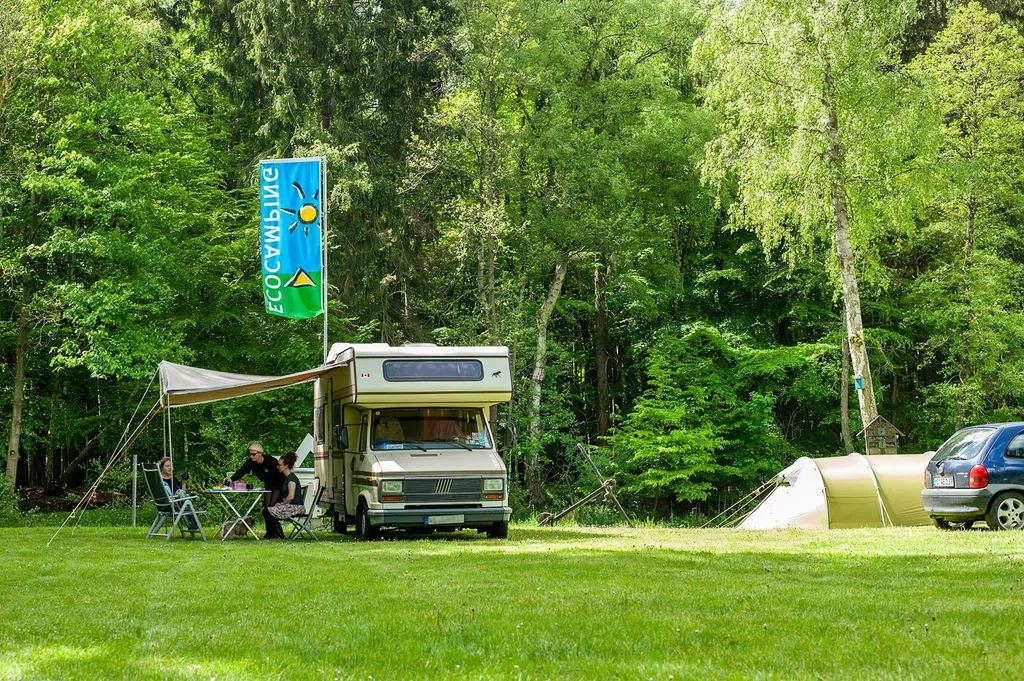 Sonnenwiese im Bermudadreieck