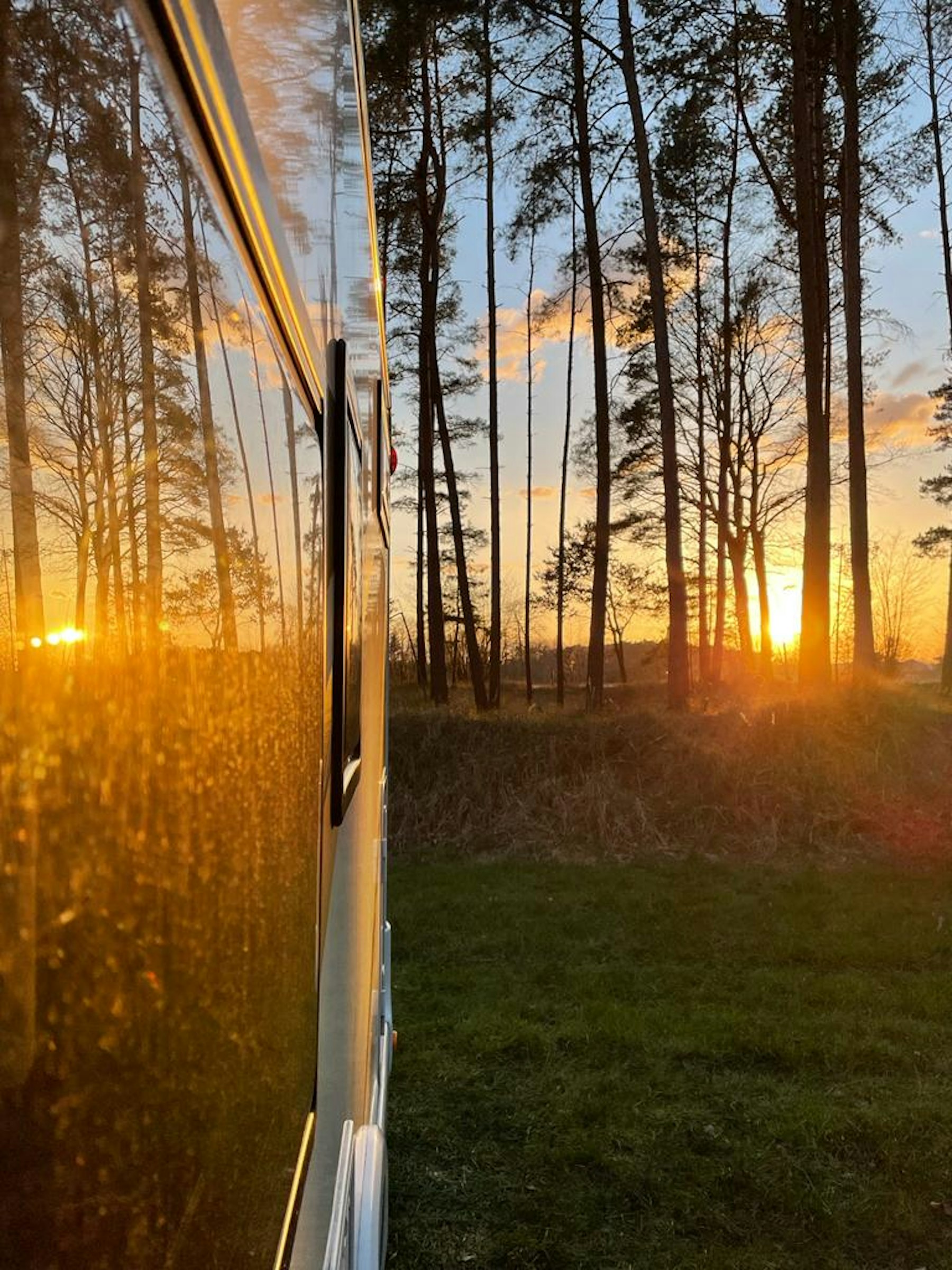 Grüne Wiese im Wald oder idyllischer Hofstellplatz