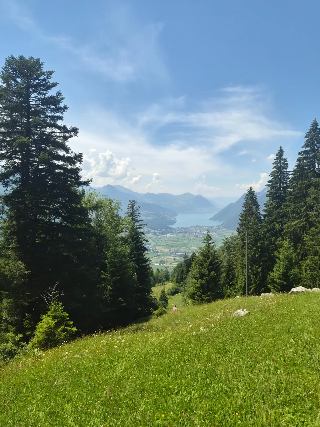 Bild von Elaheh für den Spot 3593