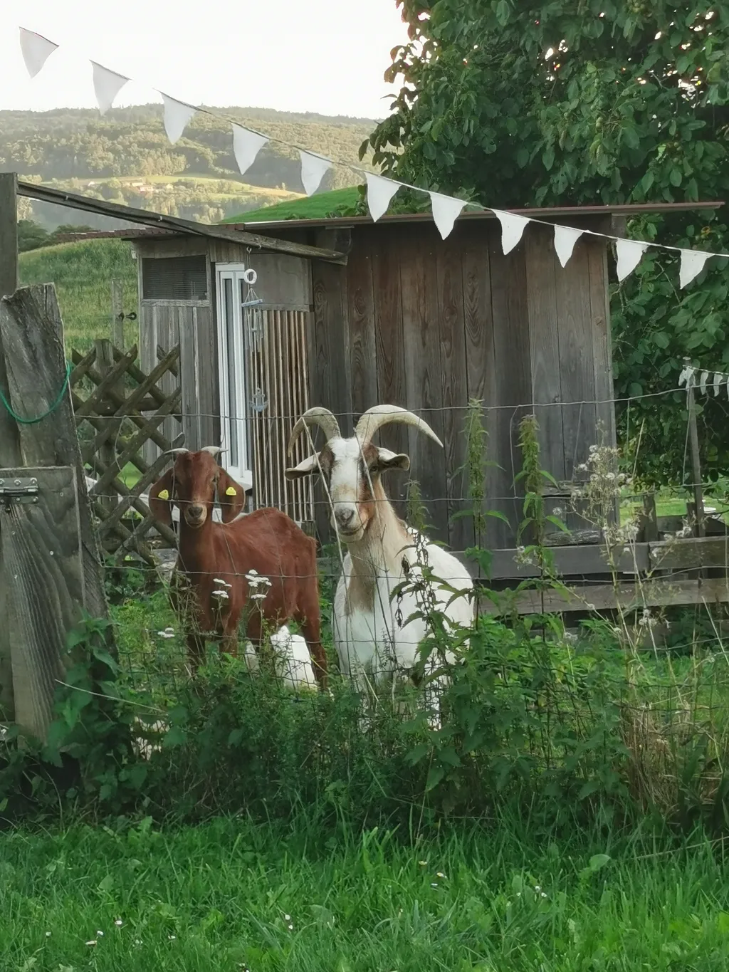 Bild von Joachim für den Spot 1387