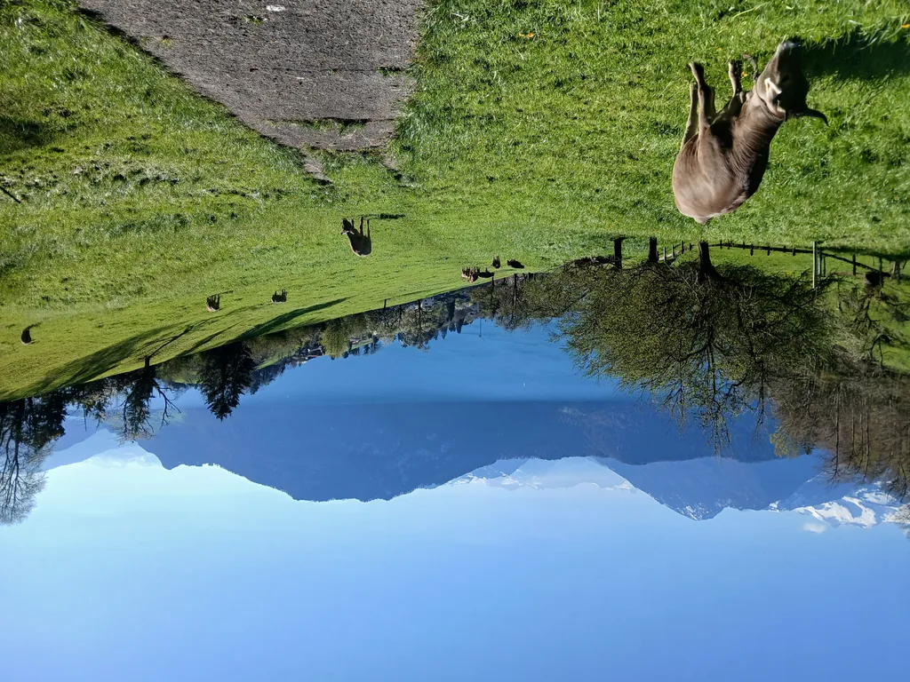 Lieblingsplatz mit Sicht auf See & Berge, «Gädeli»