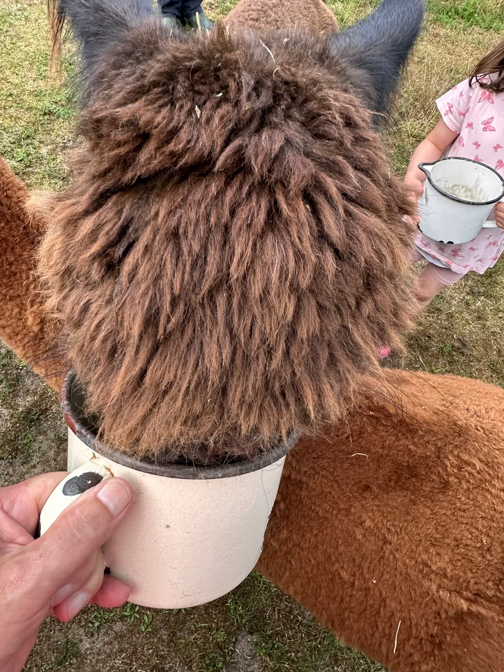 Immagine di Meik & Birthe  per lo spot 4219