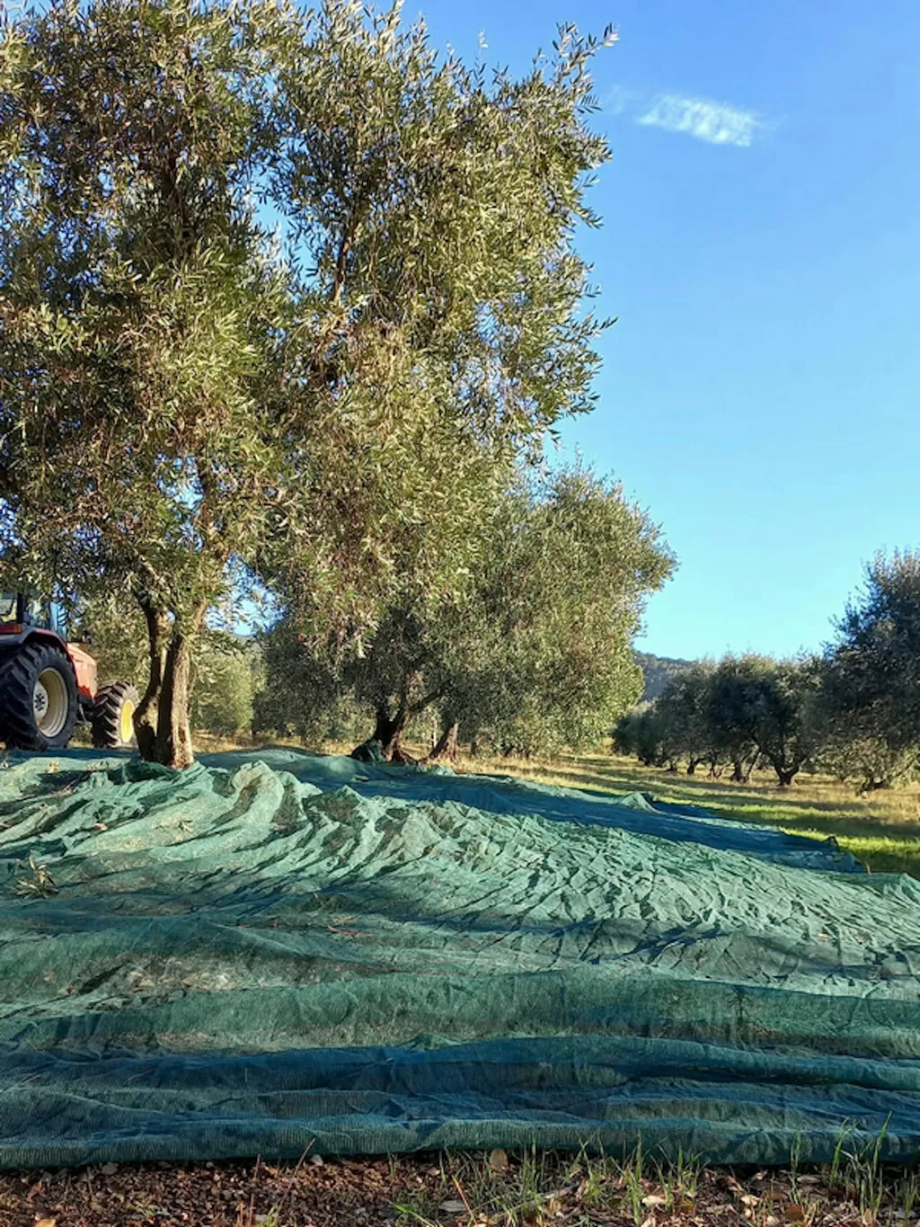Landgut in der Maremma, Toskana