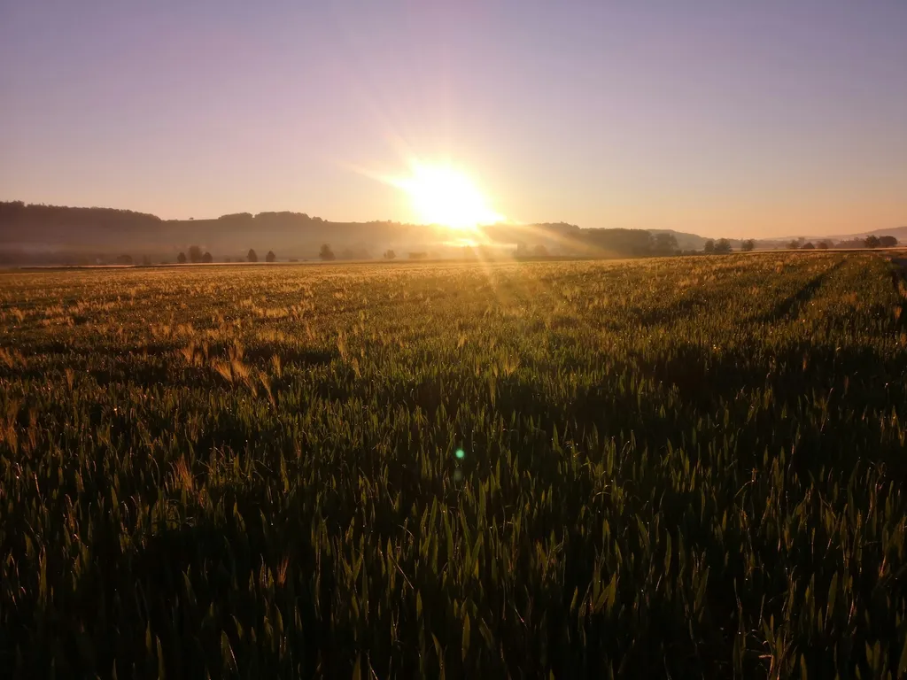 cebra’s Thurtal-Blick + + +