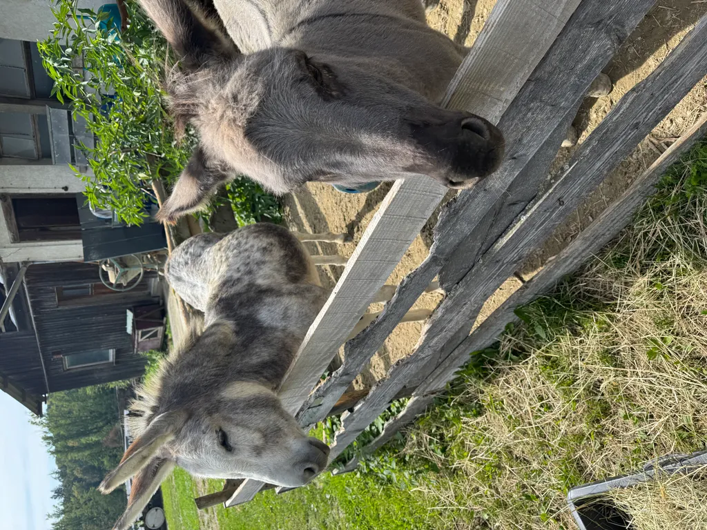 Bild von Felix für den Spot 3697