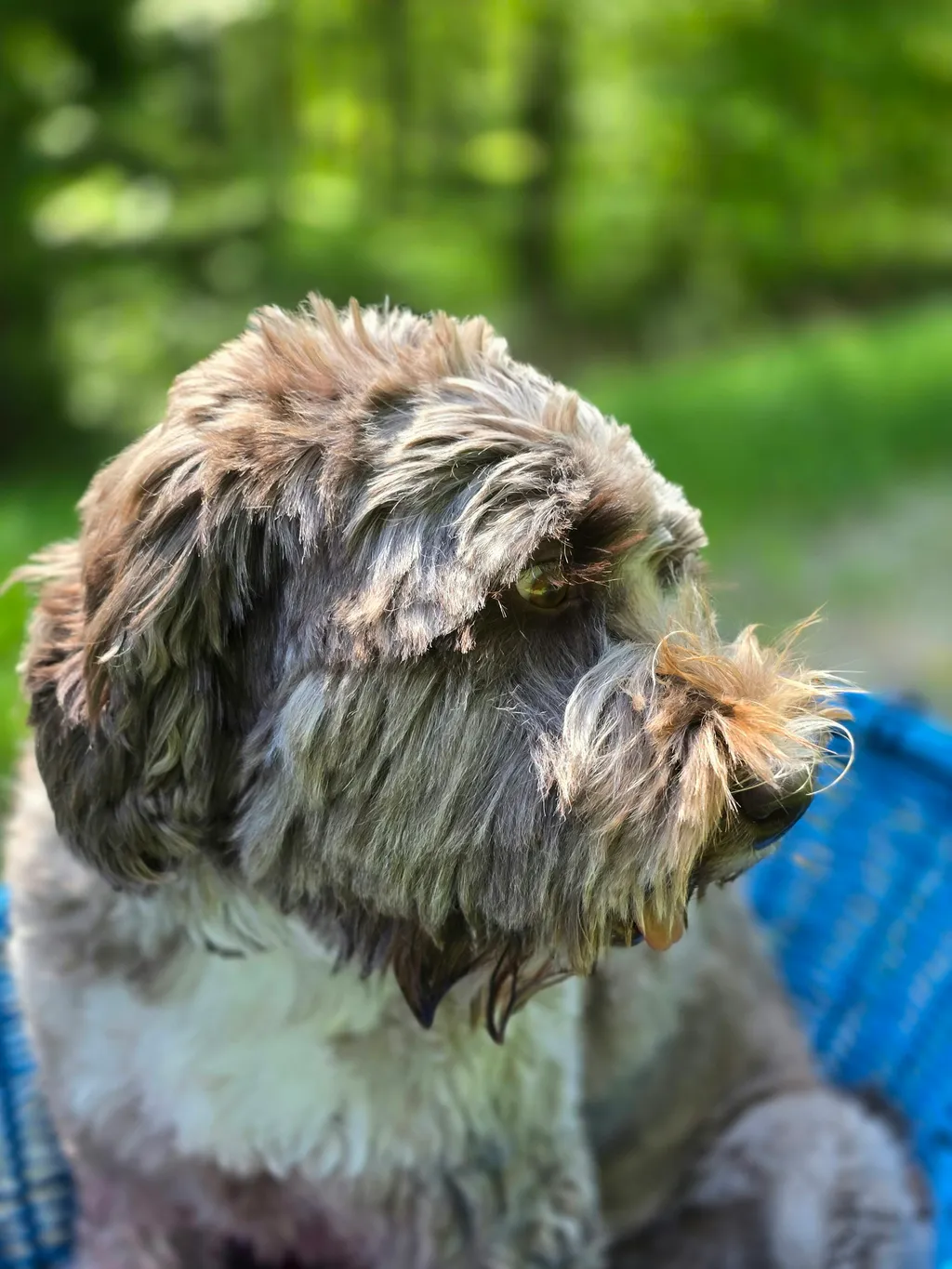 Profilbild von Cornelia