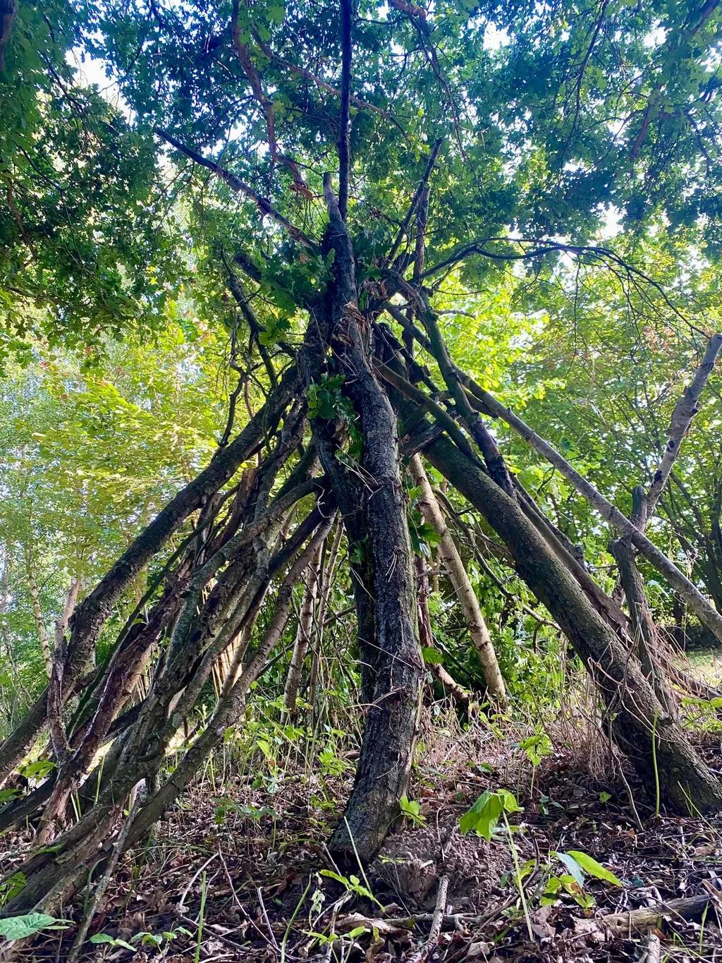Bauwerk zum mitmachen