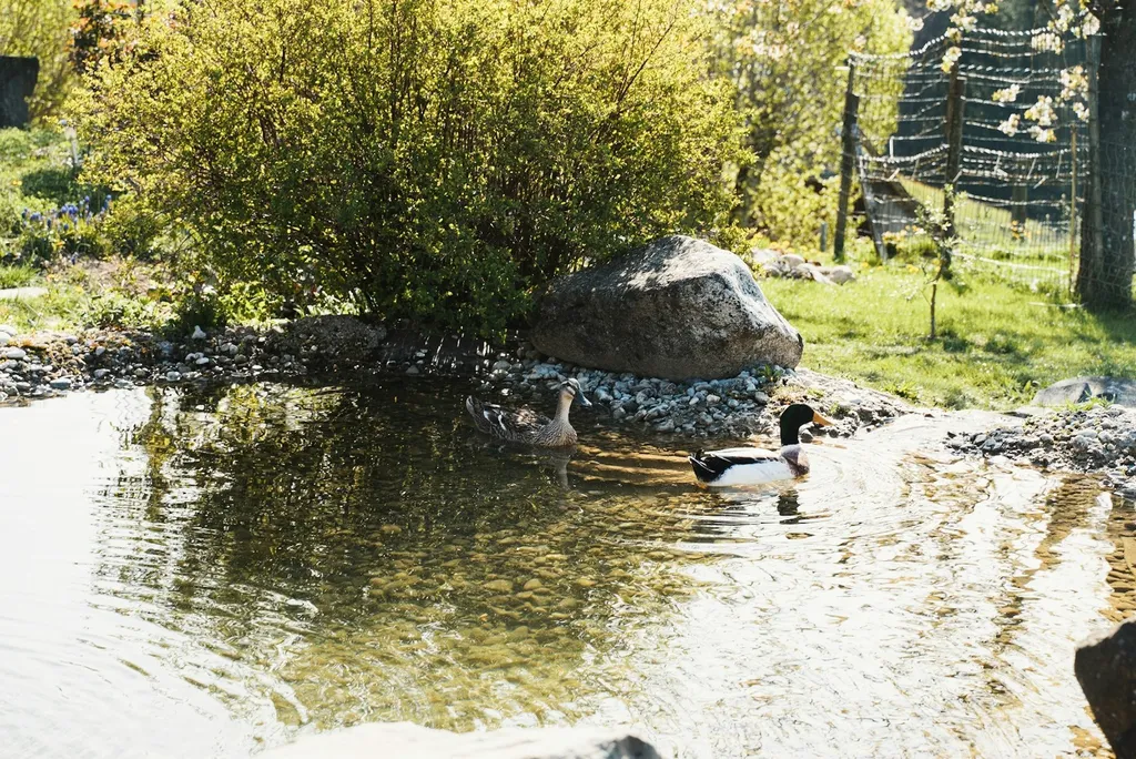 Camp im Kräutergarten