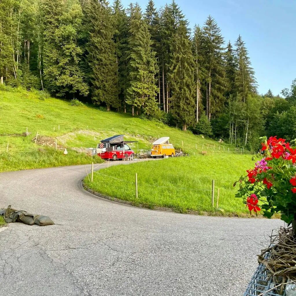 LABEA Camping (Vans only, RAUL)