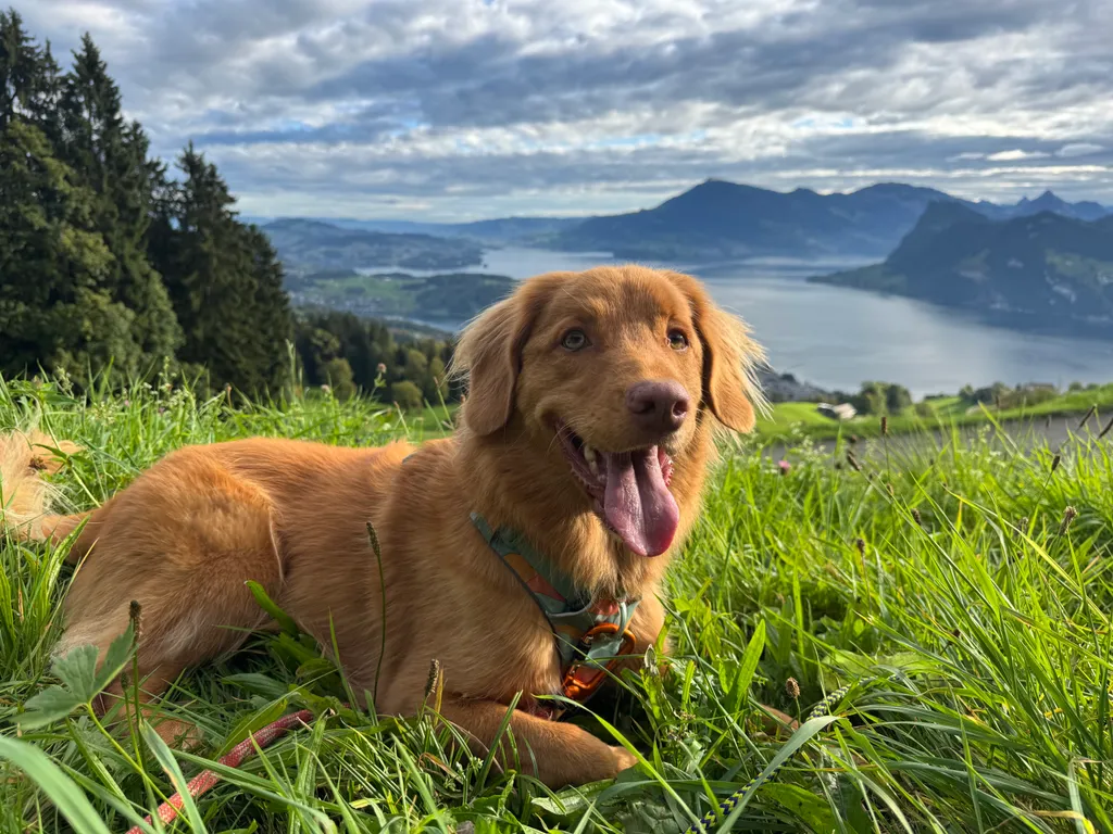 Bild von Claire für den Spot 1213