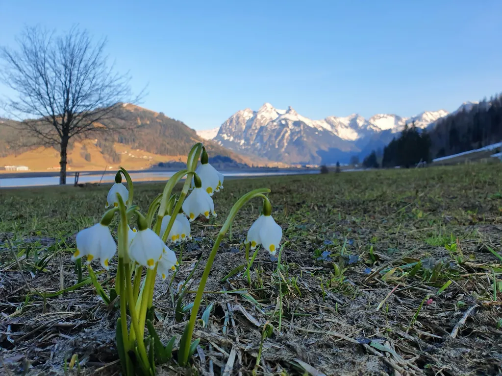 Camp Ahornweid beim Sihlsee