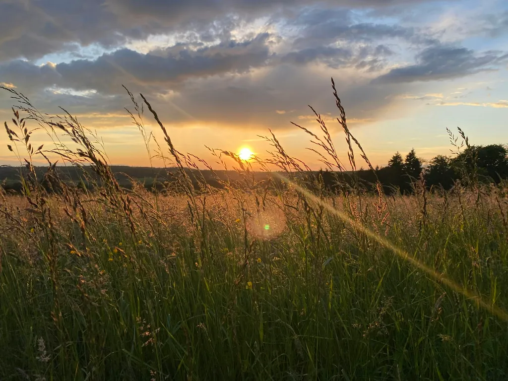 Schwarzwaldcamping in Freiamt