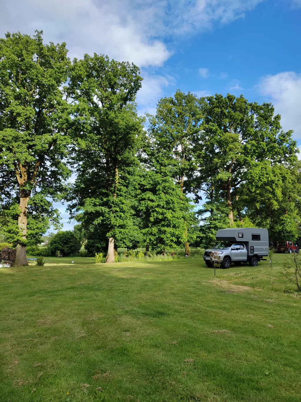 Kleine Weide unter Bäumen.