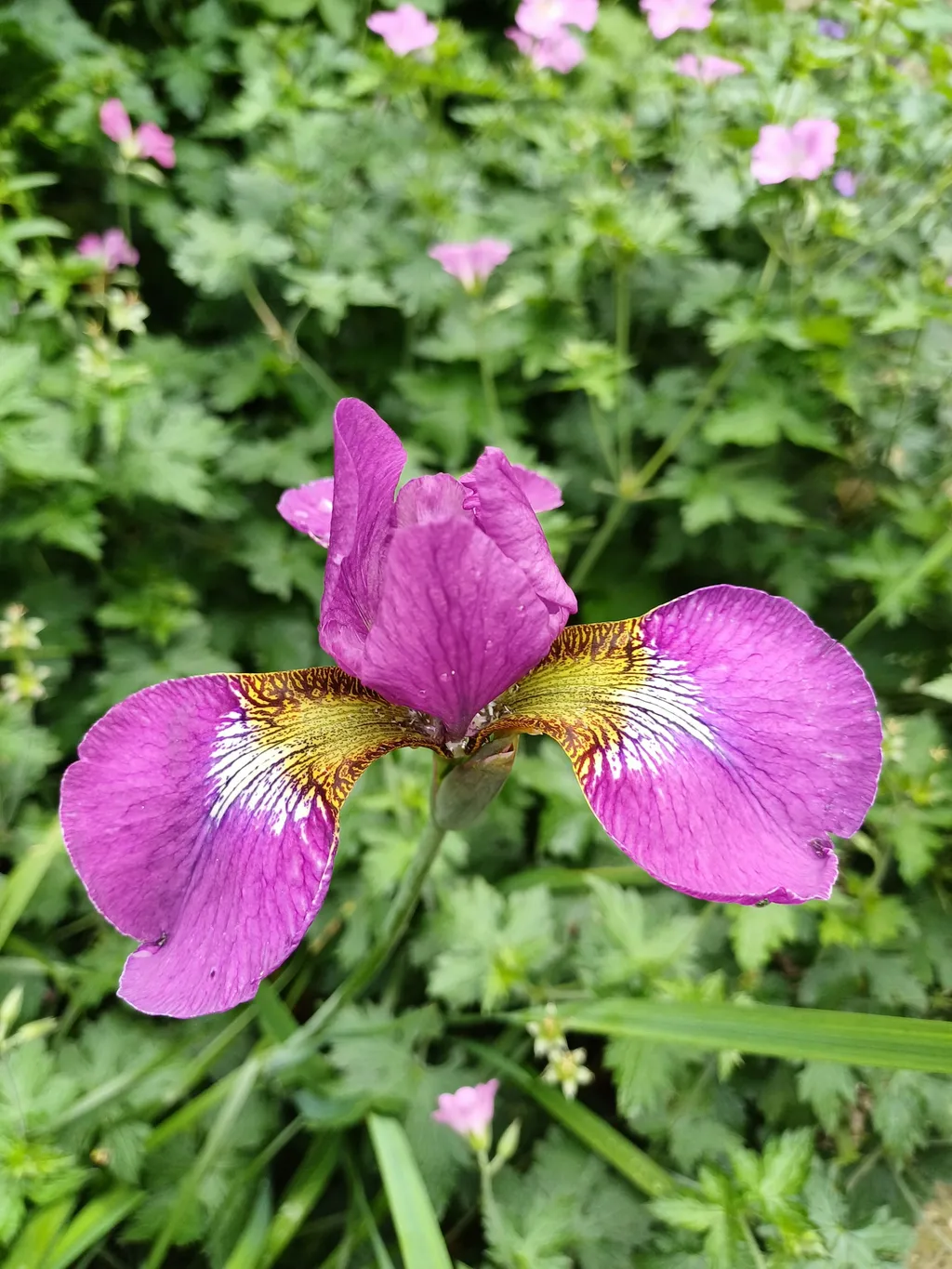 Profilbild von Monika