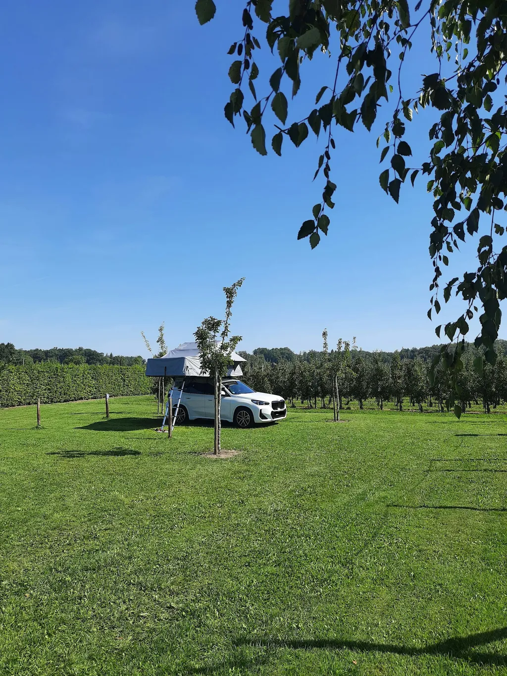 Abgelegene, ruhige Wiese