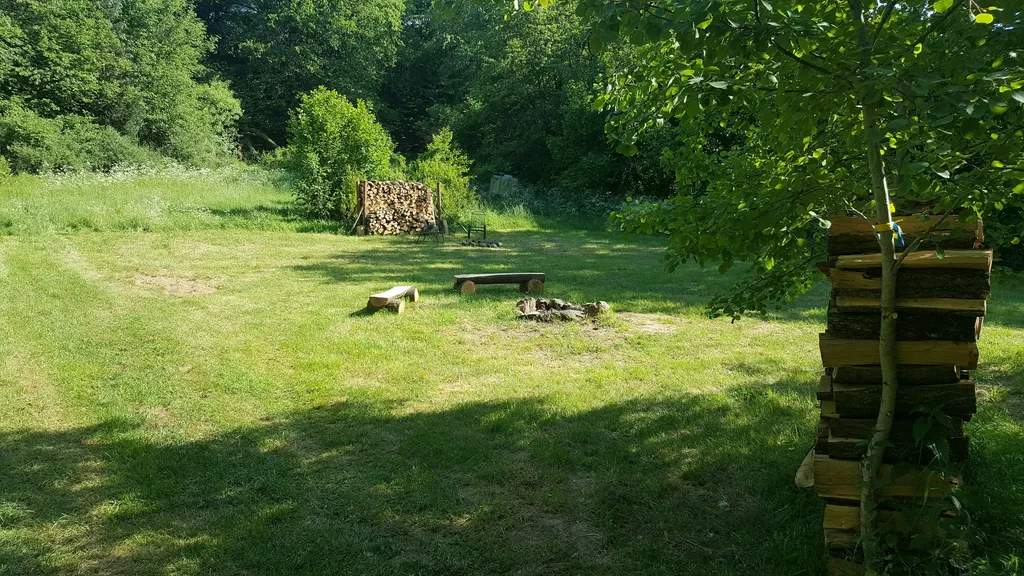 Wunderschöne Waldrandwiese