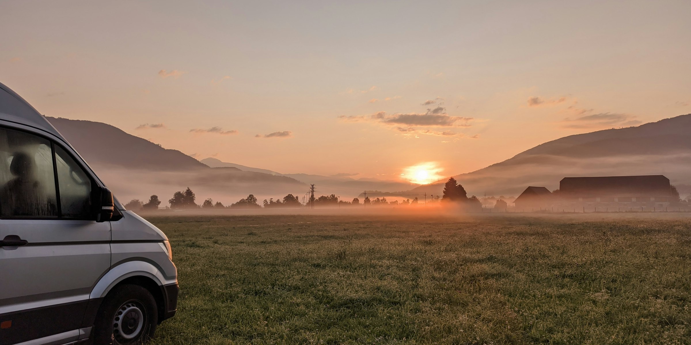 Tierische Nachbarschaft