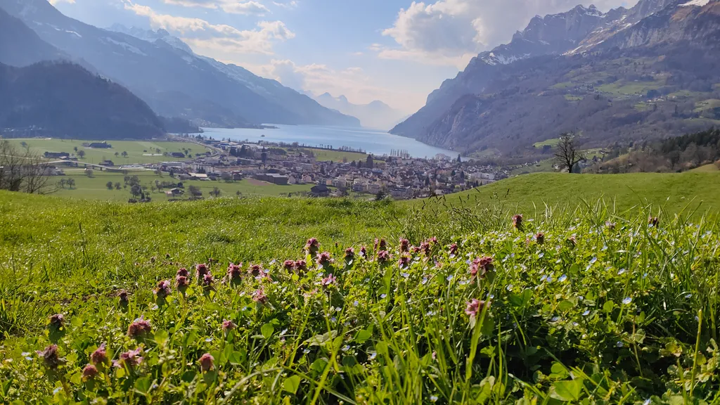 Bild von Renato für den Spot 713