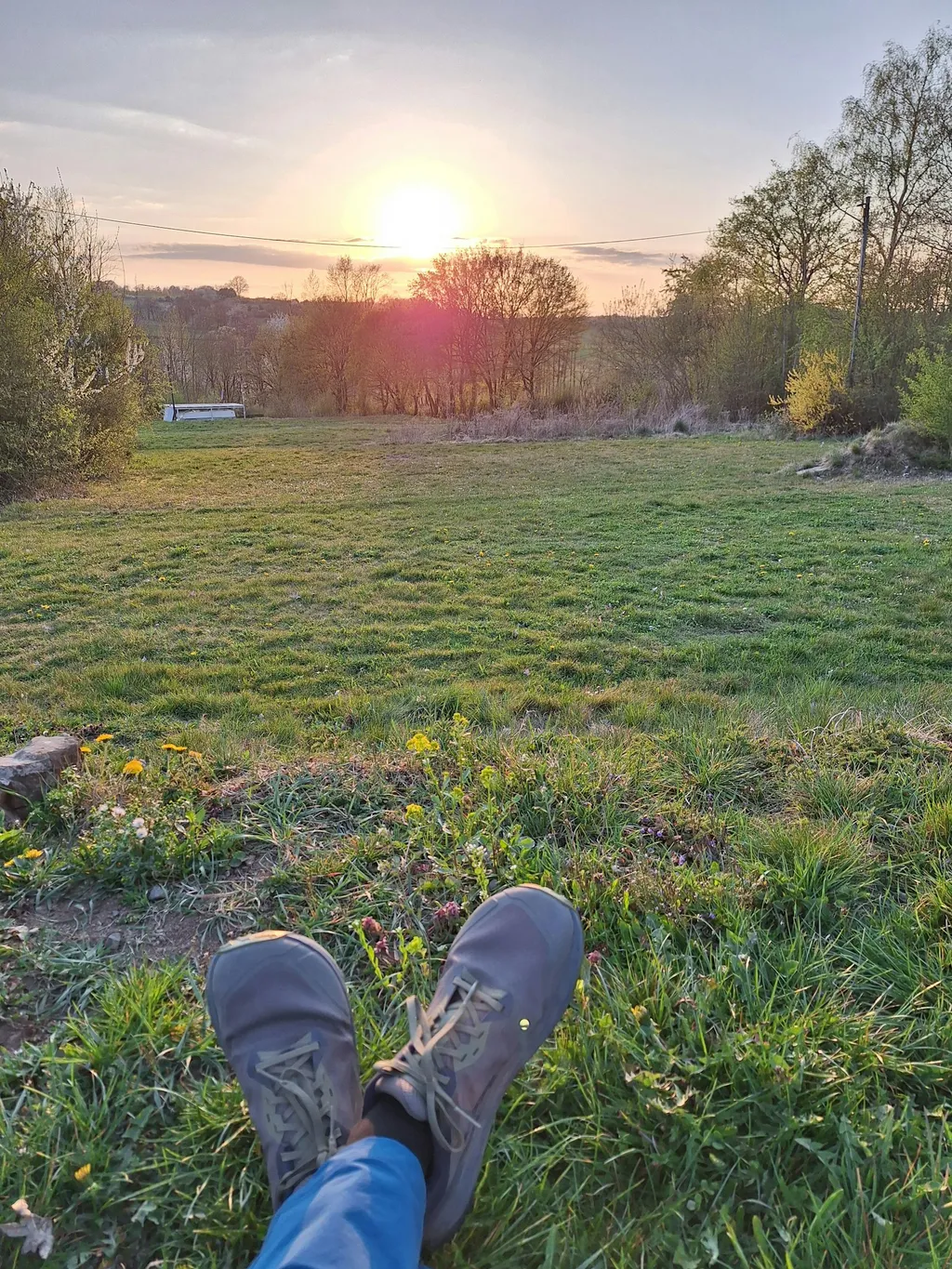 Profilbild von Alexandra