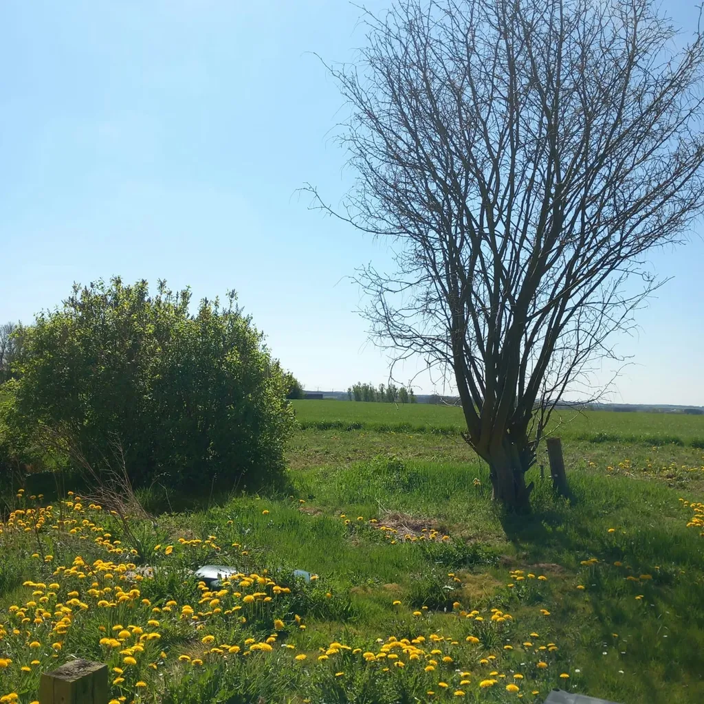 Alter Bauernhof zw. Nord- & Ostsee