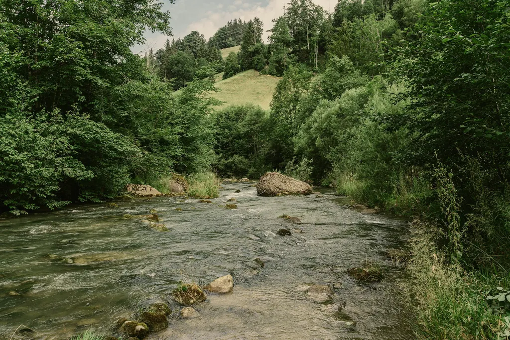 Hinter Weidli an der Sihl