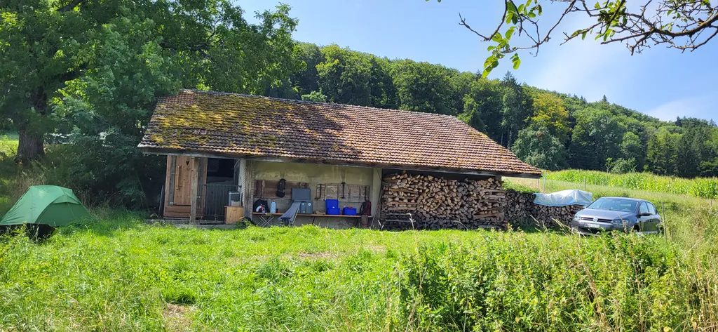 Bild von Moni für den Spot 3901