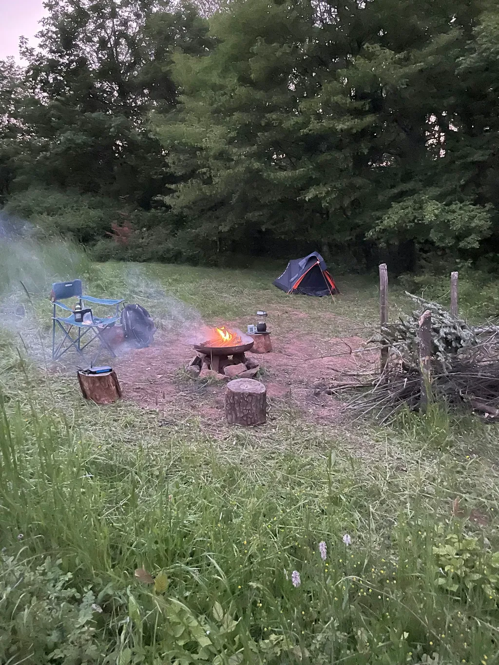 Gesamtansicht des Camps auf der Wiese