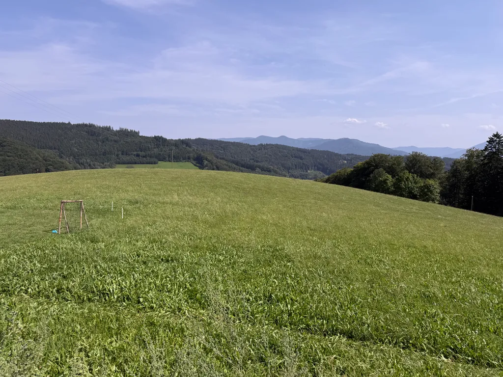 Bild von Svenja für den Spot 1587