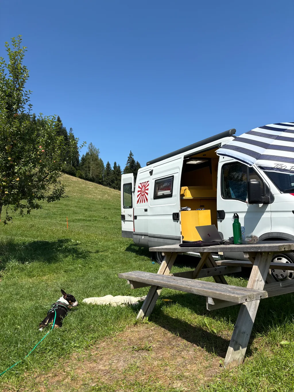 Image de Sabine pour le spot 311