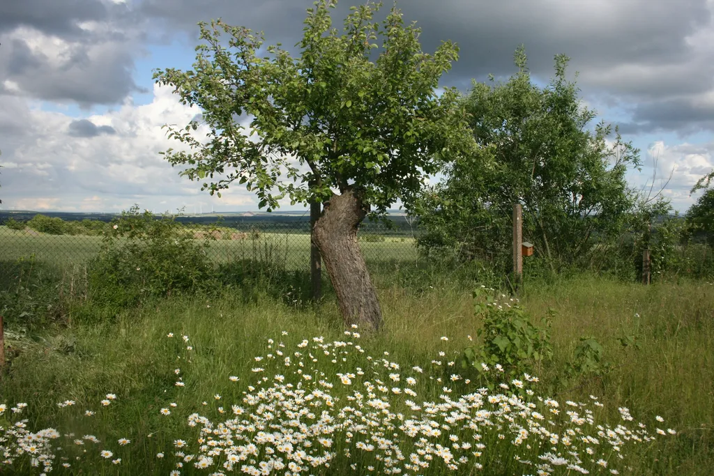 Unter Obstbäumen mit Weitblick