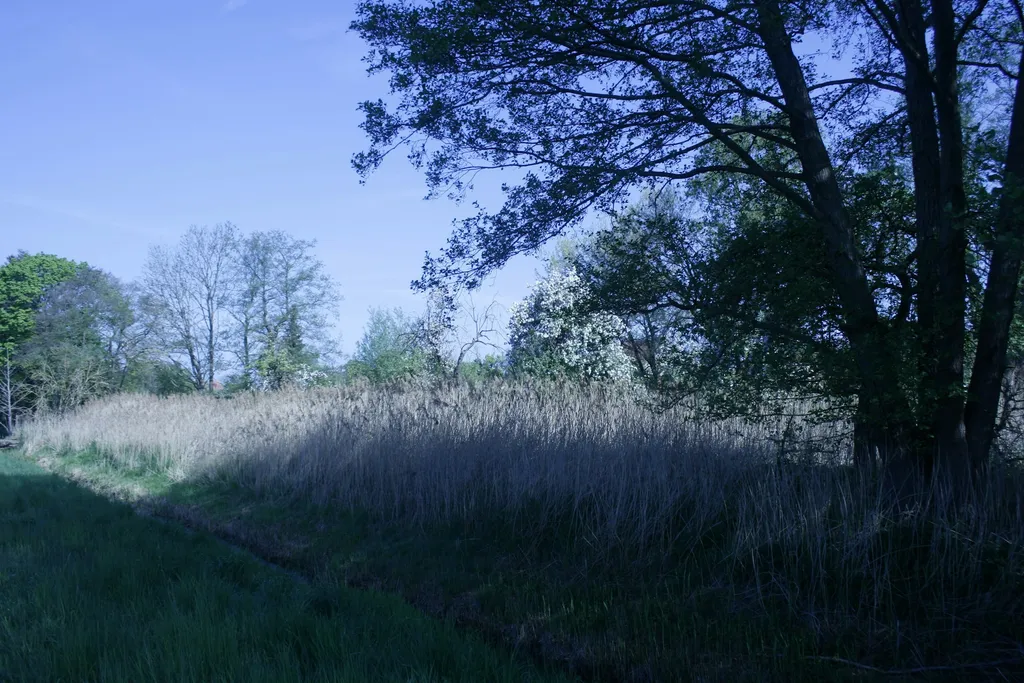Aufwachen an der Obstwiese