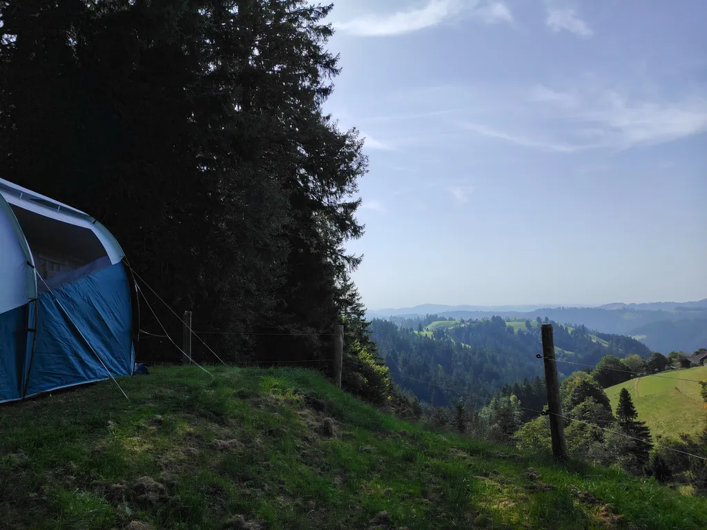 Bild von Jasmine für den Spot 318