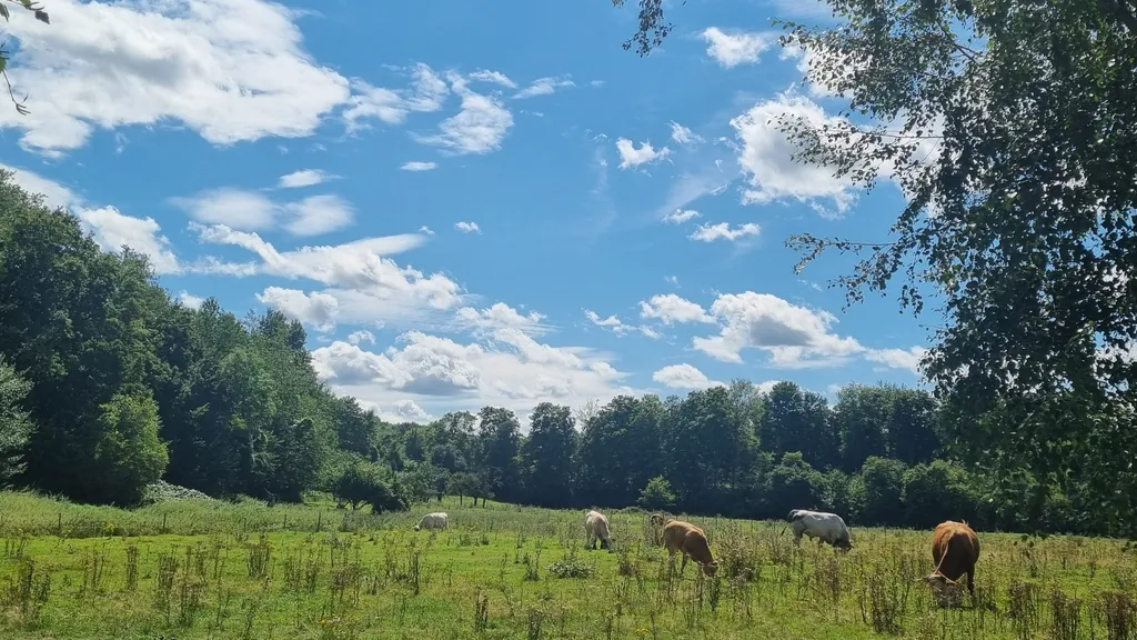 Bild von Jana für den Spot 1436