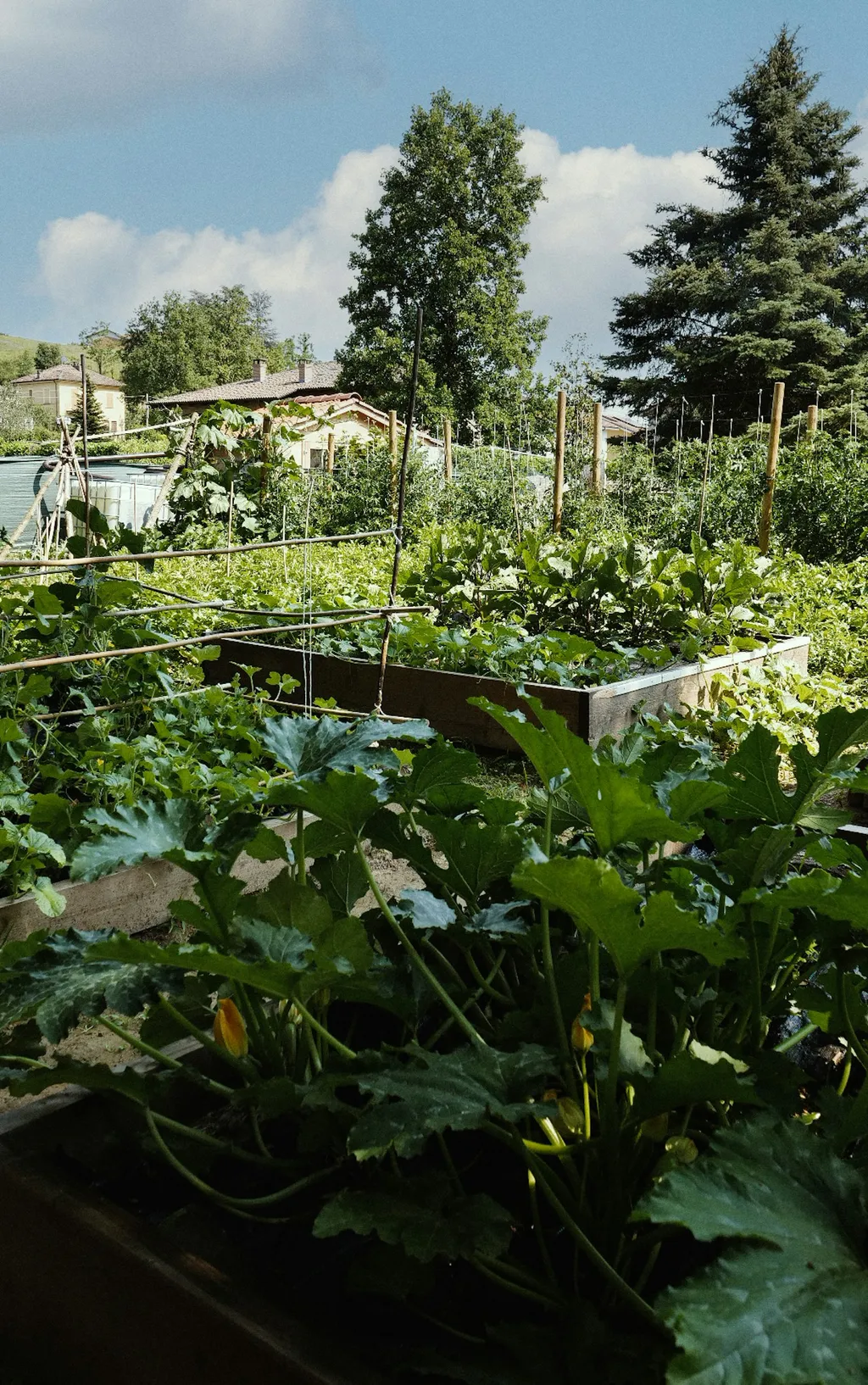 Live Green
