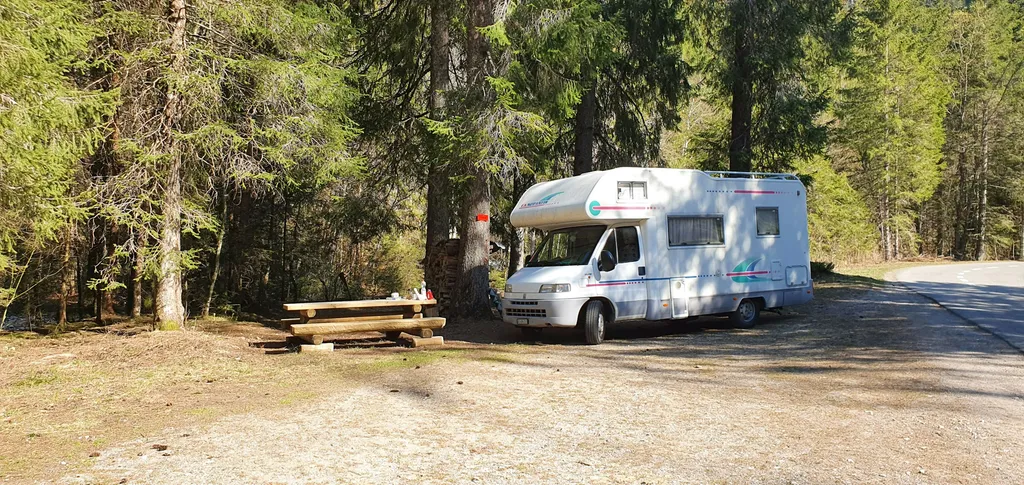 Paradiesli am Bach unter den Tannen