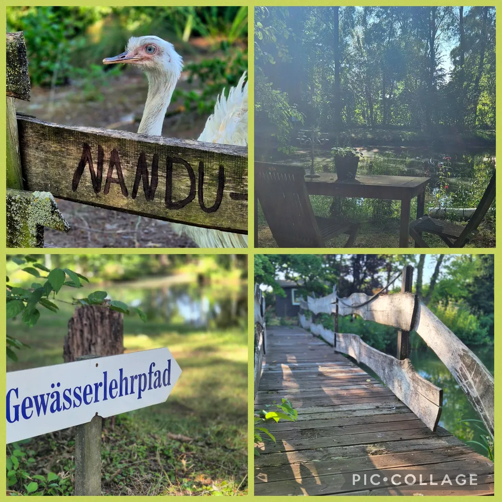Bild von Claudia für den Spot 4353